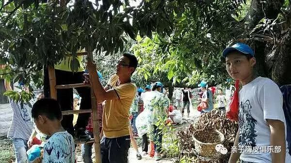 建阳营养餐_营养餐指的是什么_营养餐的营养价值