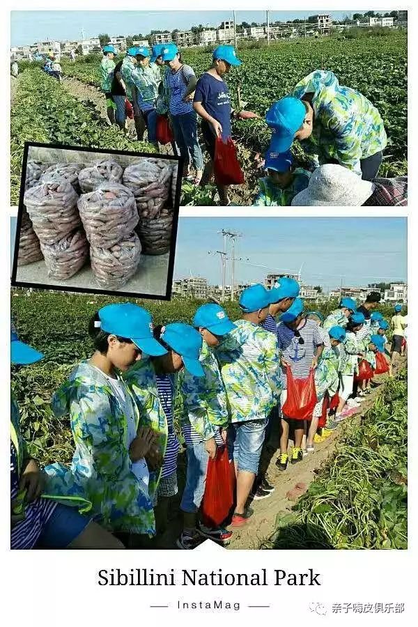 营养餐的营养价值_营养餐指的是什么_建阳营养餐