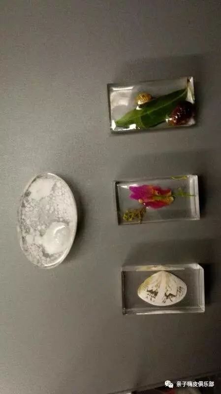 营养餐指的是什么_建阳营养餐_营养餐的营养价值