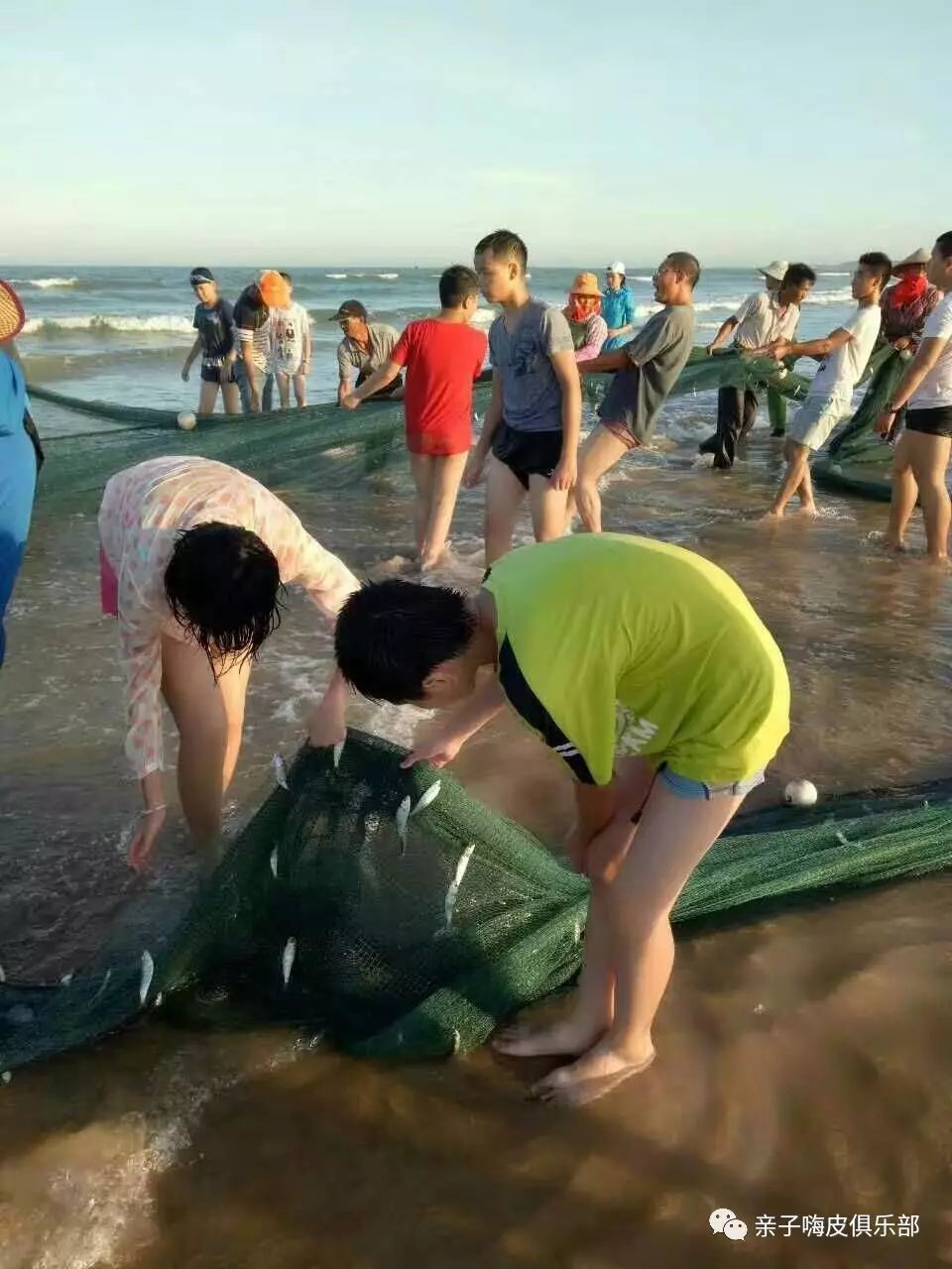 营养餐指的是什么_建阳营养餐_营养餐的营养价值
