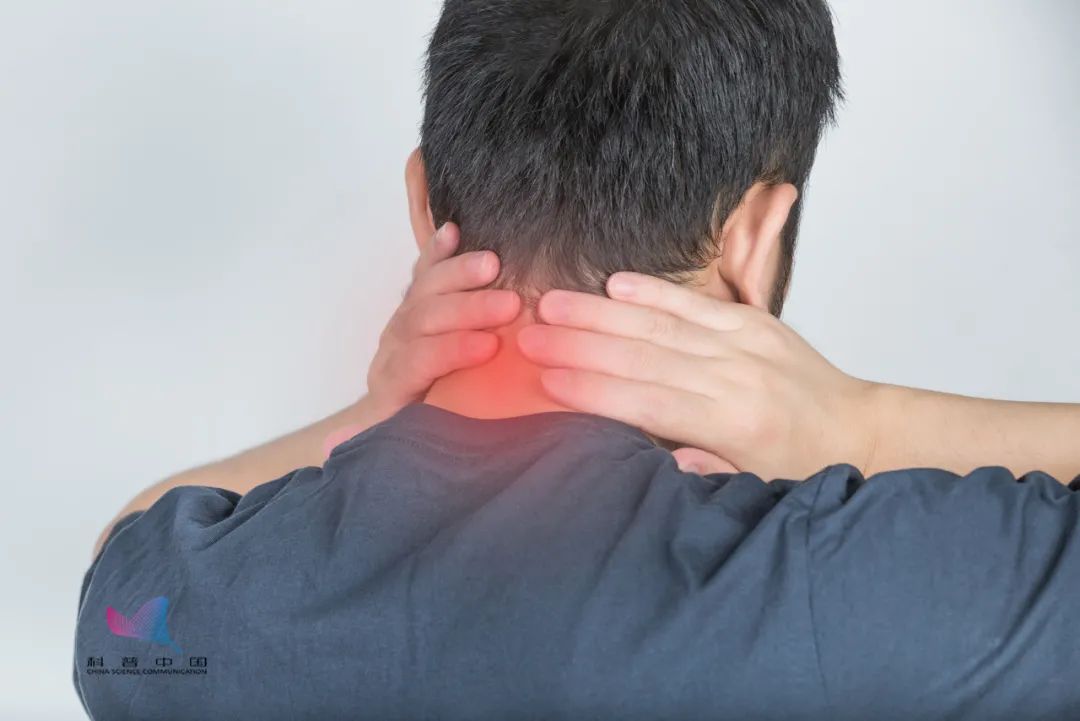 6种最不健康的生活方式_健康方式生活有_十种健康的生活方式