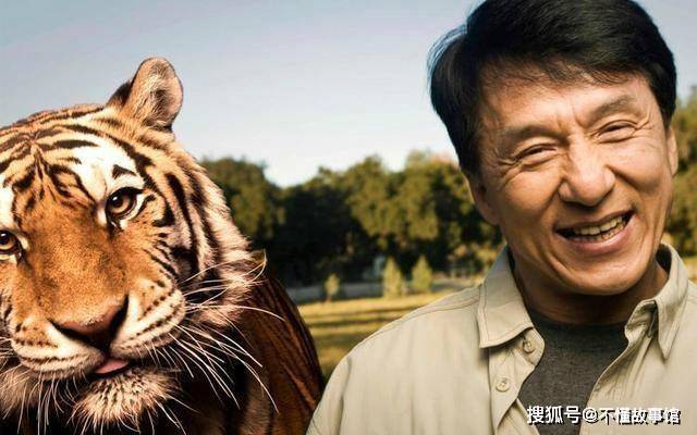 中国柔道夺金点_中国柔道冠军电影叫什么_电影冠军叫柔道中国什么