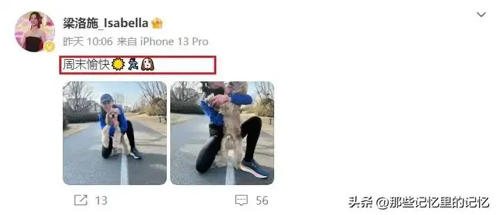 日常遛狗家庭教育内容_遛狗家庭日常_日常遛狗家庭教育方法