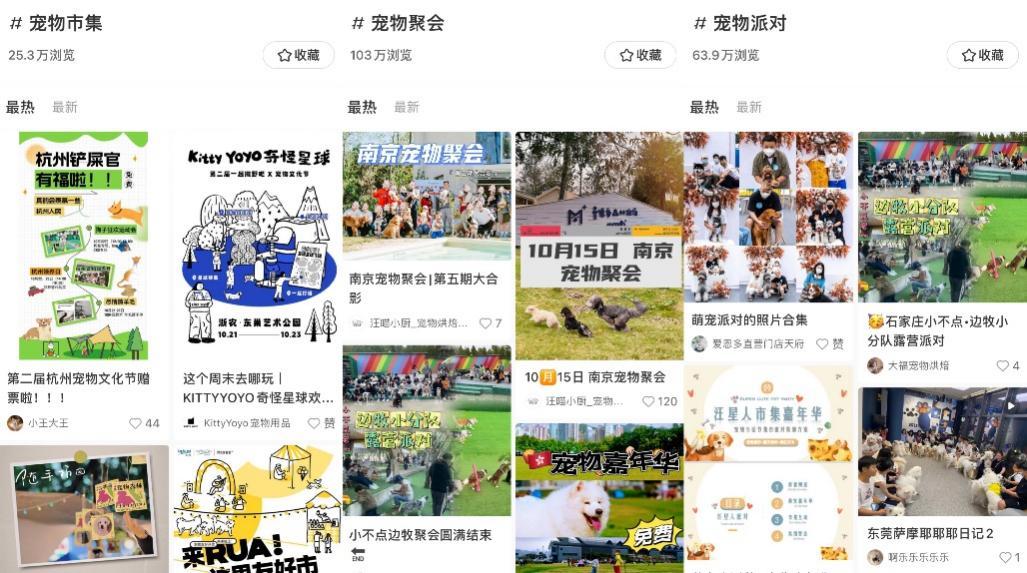 遛狗的日常_日常遛狗家庭教育内容_遛狗家庭日常