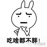 江苏省柔道队成员_江苏省女子柔道冠军马_江苏省柔道冠军是谁