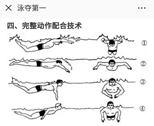 游泳平衡方法_游泳换气平衡技巧有哪些_游泳平衡换气技巧有哪些